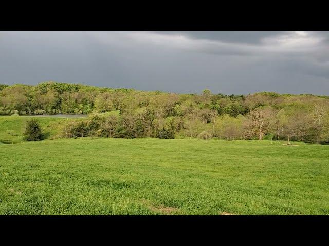 How to get clover in your pasture for free every single year!