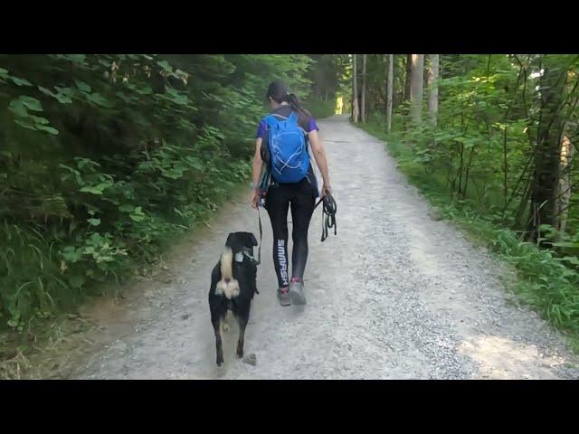 Bergwanderung auf den Wallberg, Tegernsee / Wandern mit Hund