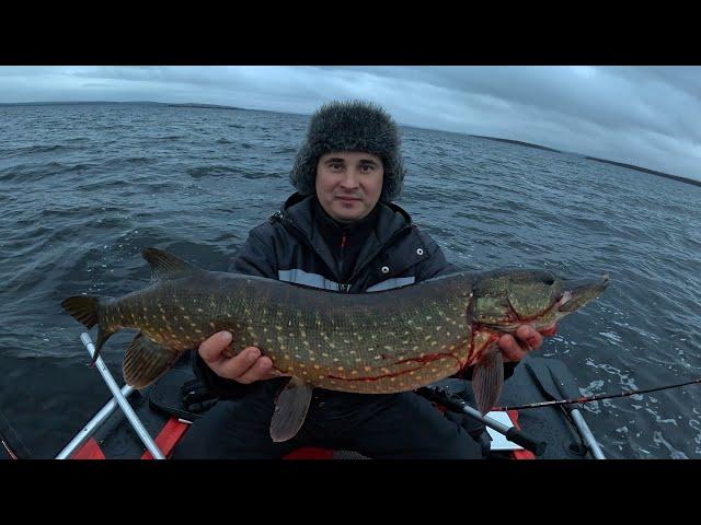 РЫБАЛКА УДАЛАСЬ , РЫБА ПОЙМАНА / FISHING WAS A SUCCESS, FISH CAUGHT