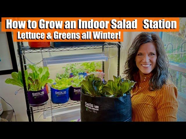 How to Grow an Indoor Salad Station - Lettuce & Greens all Winter!