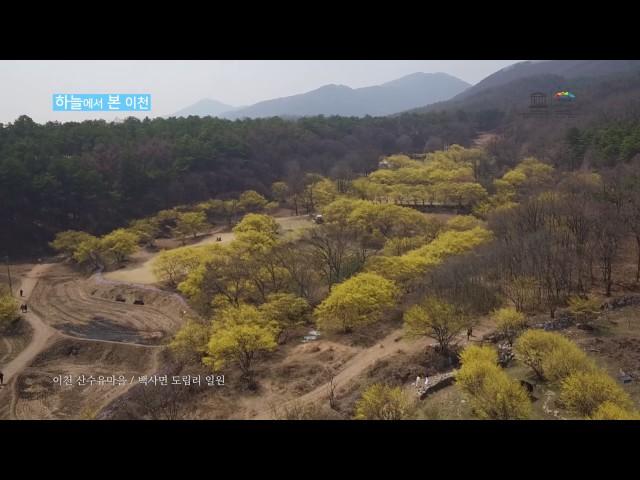 [테마영상] 하늘에서 본 이천_ 백사산수유마을