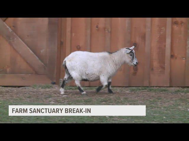 Lancaster Farm Sanctuary target of attempted burglary