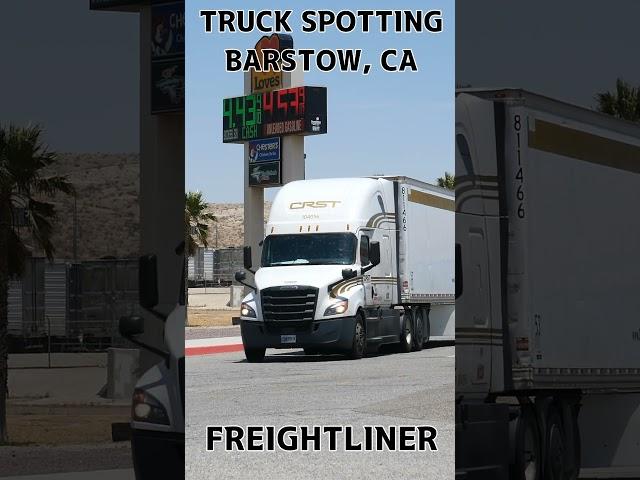 TRUCK SPOTTING #01499 / FREIGHTLINER #automobile #semitrailer #trucking