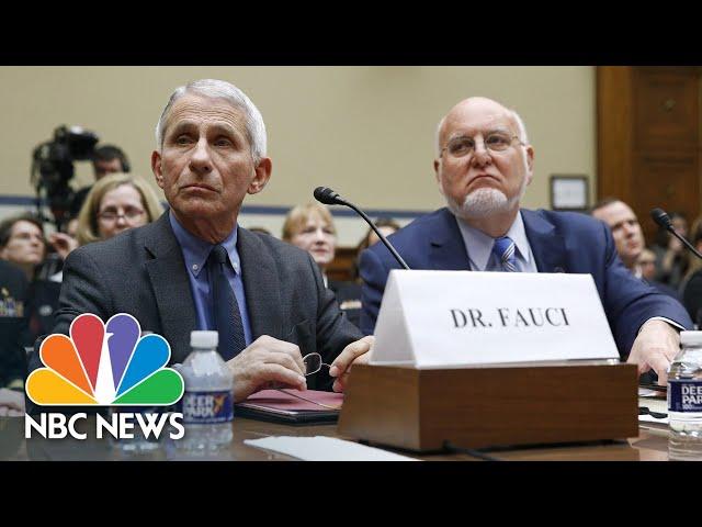 Dr. Fauci, CDC director Testify At House Hearing About Coronavirus Test Kits | NBC News