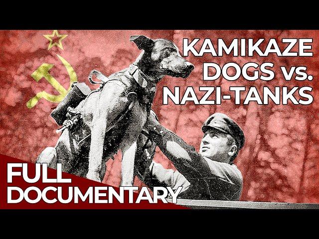 World War Weird | Episode 3: Nazi Gold & Stalin's Canine Bombs | Free Documentary History