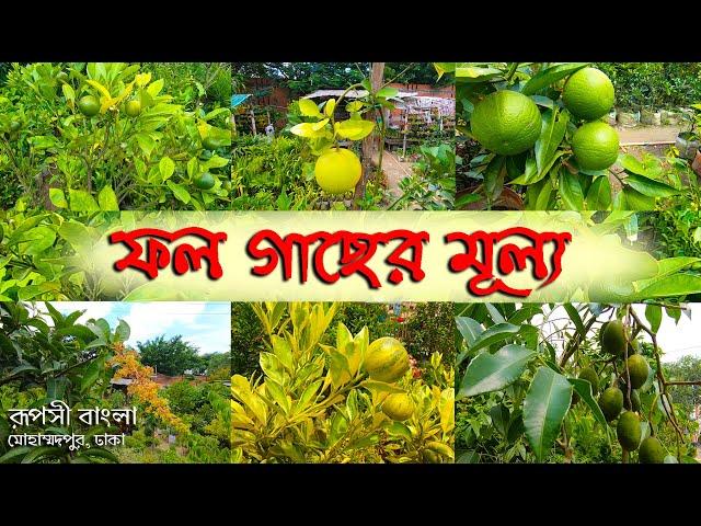 রূপসী বাংলা নার্সারিতে গাছের মূল্য | Fruit tree Price in Ruposhi Bangla Nursery | Kenakata Dot Com