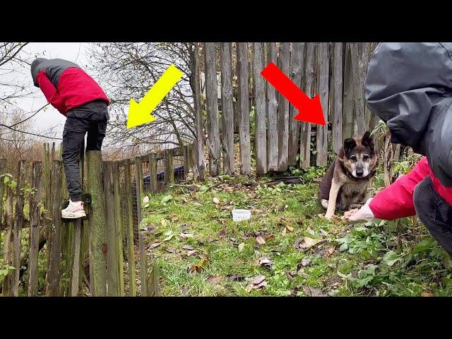 Climbing the fence to save the paralyzed dog, he guards the abandoned house