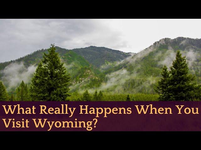 What Really Happens When You Visit Wyoming?