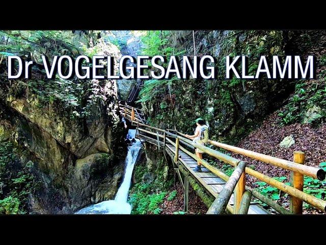 Dr Vogelgesang Klamm Austria