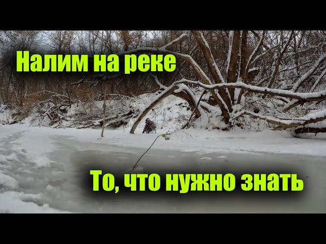 Ловля налима на реке - руководство от А до Я.