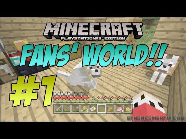 EthanGamerTV Fans' Minecraft World!! #1