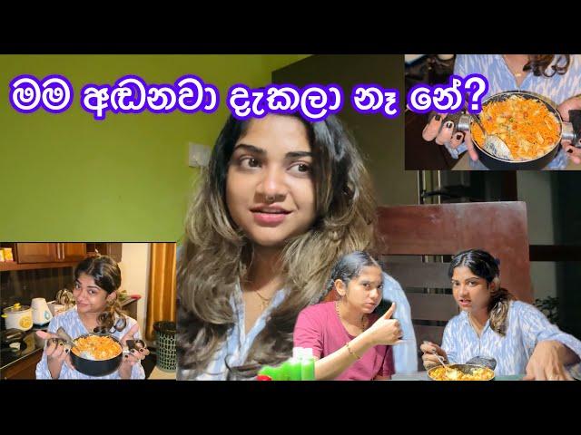 මම vlog එකක අඬපු පළවෙනි වතාව | අලුත්ම අලුත් වෙනස්ම වෙනස් ඉන්දියන් Dish එක | Anjali Rajkumar Vlogs