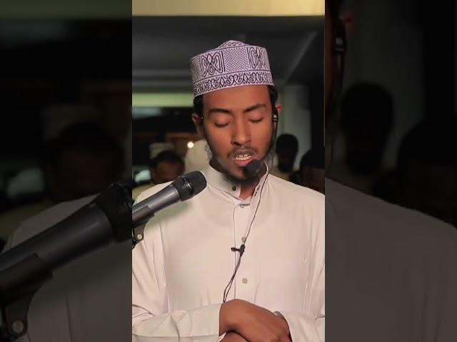 #afif_taj #duet #revertz #islamicscripture #sheikh #voiceeffects #reciters #qurankarim #quranreciter