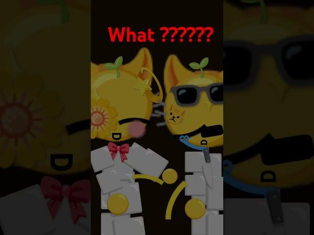 what?????????