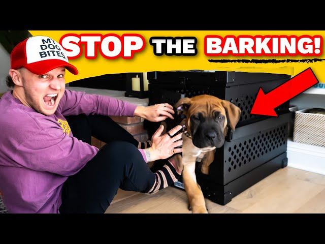 Puppy Training- Why I ALMOST Gave Up Crate Training My Puppy!- Puppy Training Guide