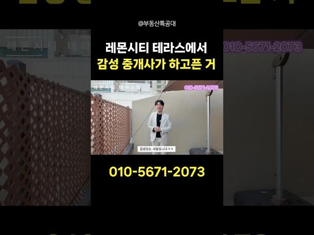 오피스텔 테라스에서 감성 중개사가 하고픈 거 동성로 레몬시티 오피스텔 테라스형 #동성로오피스텔 #대구시내오피스텔 #동성로레몬시티 #대구테라스오피스텔