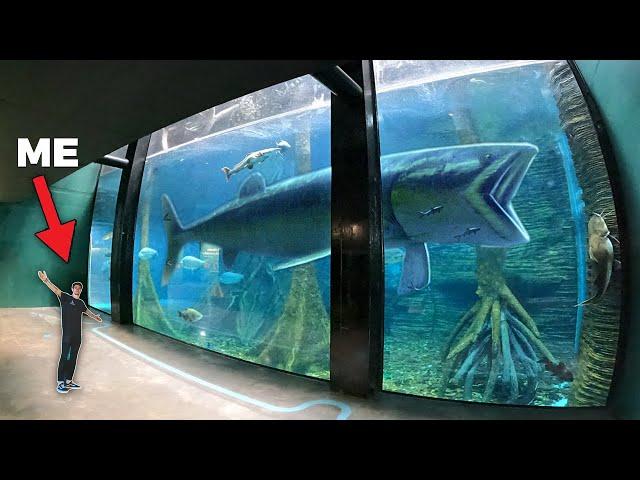 LARGEST AQUARIUM IN SOUTH AMERICA!! - (Private Tour)