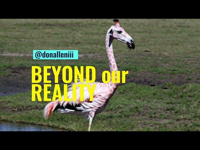 Beyond Our Reality · Made by Don Allen Stevenson with Sora