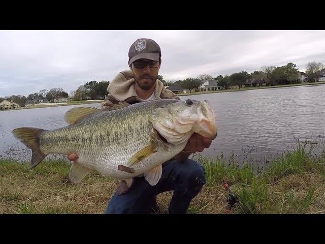 TOP 3 HUGE LARGEMOUTH BASS CAUGHT ON CAMERA! (compilation)