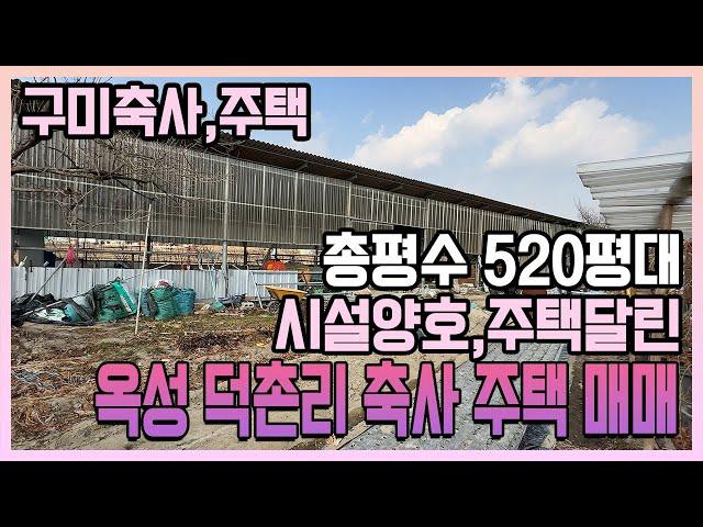 구미 축사 창고 주택 , 내땅 365, 국유지 160평 총 520평 교통 좋고, 활용성 좋은 넓은 축사 매매 옥성면 덕촌리 1억3천만원