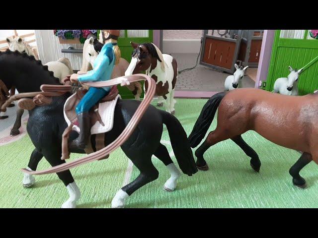 Schleich paarden FUN 22 - Paardenpraatjes