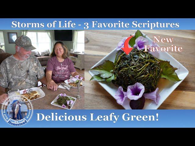 My New Favorite Leafy Greens | Storms of  Life 3 Helpful Scriptures