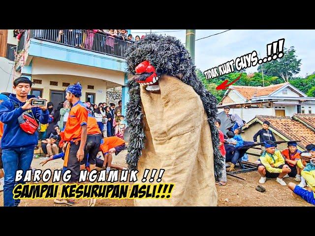 Barong Ngamuk!!! - Pemain Barong Sampai Kesurupan Asli!!! || Seni Benjang Panca Mekar Sabilulungan