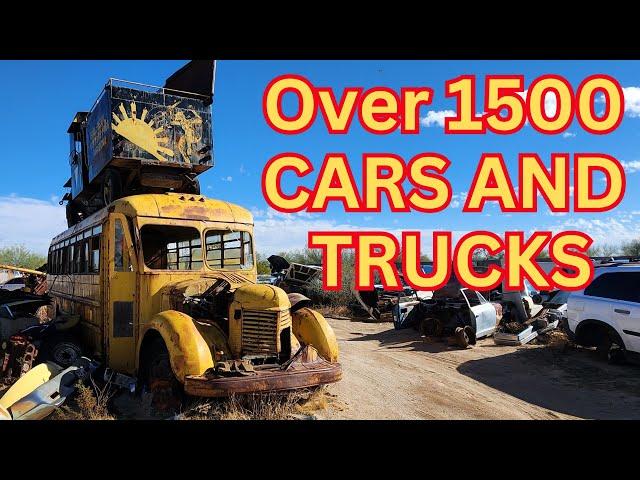 Looking for RUSTY GOLD IN A Southern Arizona Junkyard