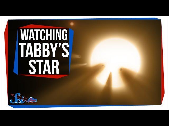 Why Everyone Was Watching Tabby's Star Last Weekend