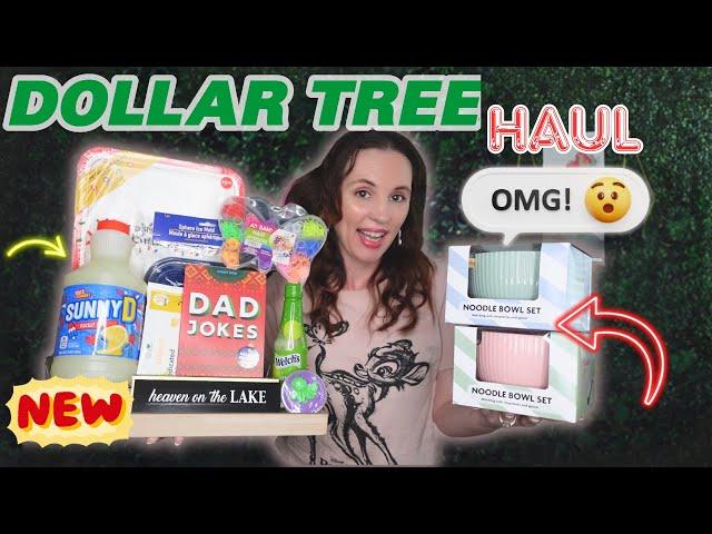 Exciting Dollar Tree Haul - New Discoveries