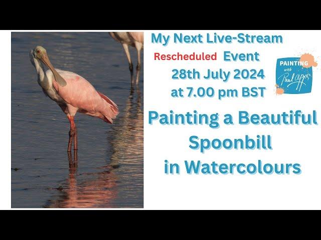 Paul Apps Wildlife Art Stream | Painting a  Spoonbill in Watercolour 28th July 2024, 7:00 PM BST