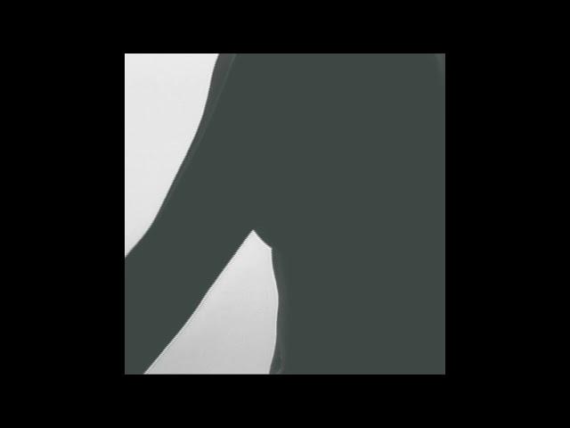 Phill Niblock - Muna Torso [Room40]