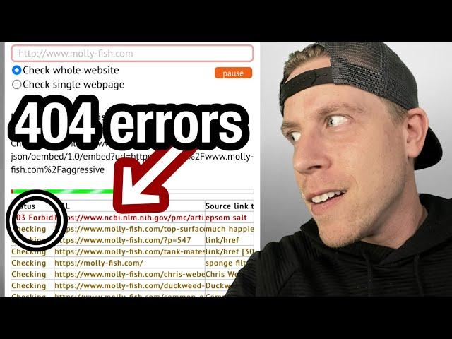 Find 404 Error Pages on Wordpress Website