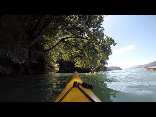 Marlborough Sounds Sea Kayak Adventures