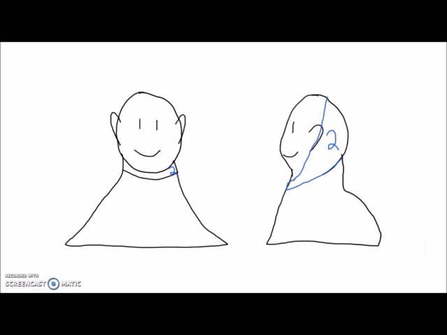 Anatomy - How to Draw the Dermatomes of the Arm, Head, and Neck