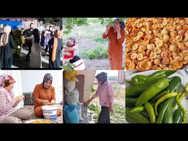 bağdan kayısı getirdim bahçe işi kına gecesi ilk biber salatalıklarımkahvaltı ne ararsan bu vdeo