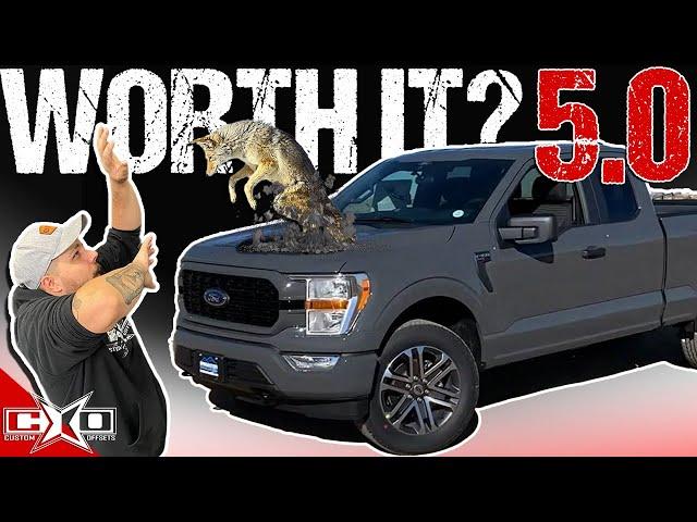 Is a 5.0L Ford F150 Worth It?