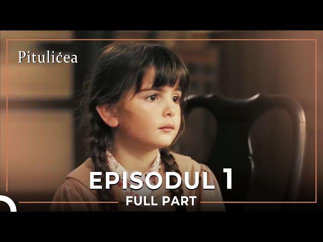 Pitulicea | Episodul 1