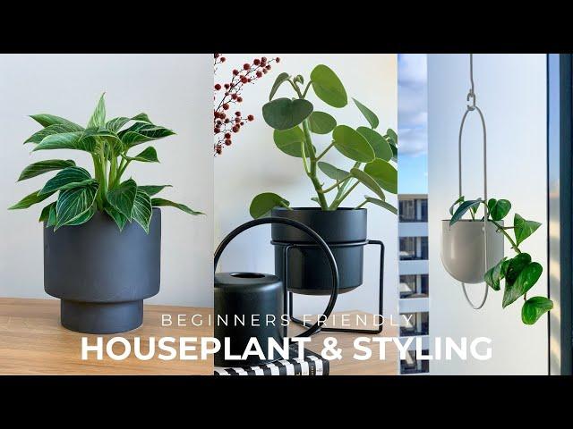 Beginners Houseplant Tour + Styling Tips (Decorate With Indoor Plants )