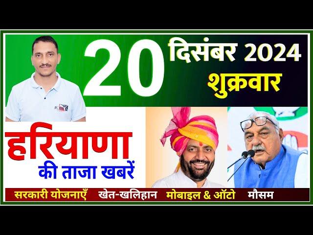 20 December 2024 Haryana News || हरियाणा की ताजा खबरें || Haryana Live News || CWB Hindi News