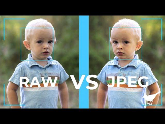 Raw vs Jpeg Side by Side Comparison I Family Photography Video