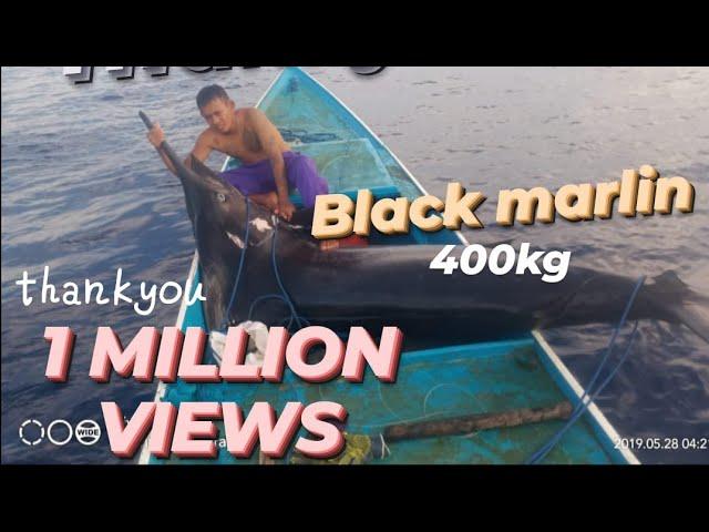 PERTARUNGANNELAYAN & IKAN MARLIN/LAYAR YG BOBOTNYA MENCAPAI‼️⁉️ LEBIH 400 KG