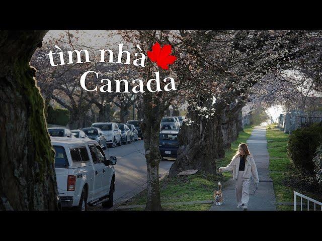 Du học Canada | Chi phí và kinh nghiệm thuê nhà vlog xuunie