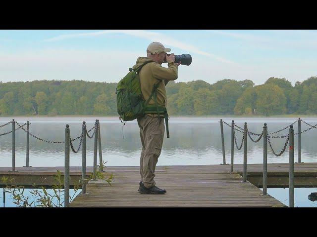 Wildlife Beginner Photography Tips: Get the SHOT Every Time