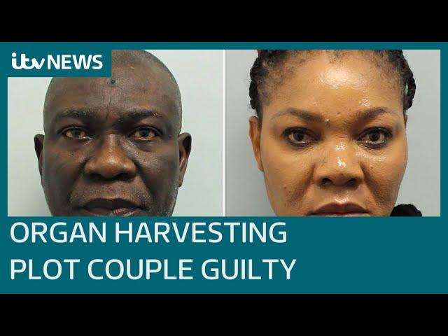 Senior Nigerian politician and wife guilty of organ harvesting plot in London| ITV News