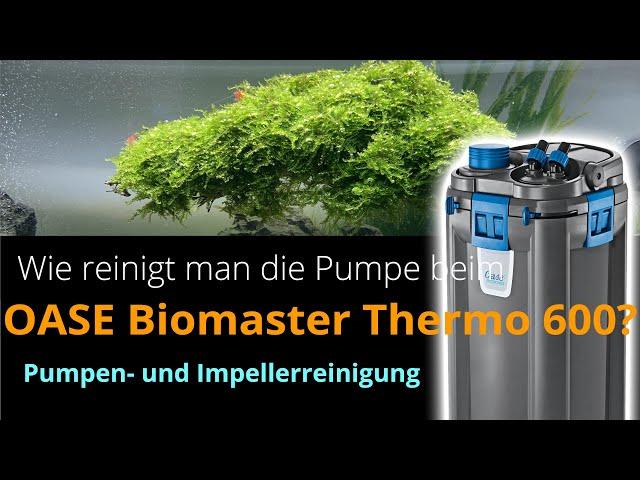 Oase Biomaster Thermo - Wie reinige ich die Pumpe bzw. den Impeller?