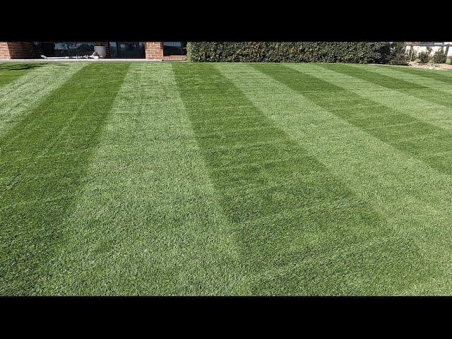 RYE GRASS FIRST REEL MOW FAT STRIPES