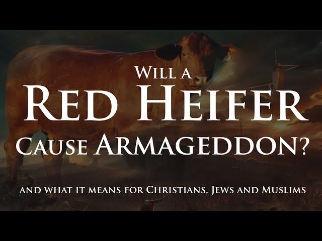 Will a Red Heifer Cause Armageddon