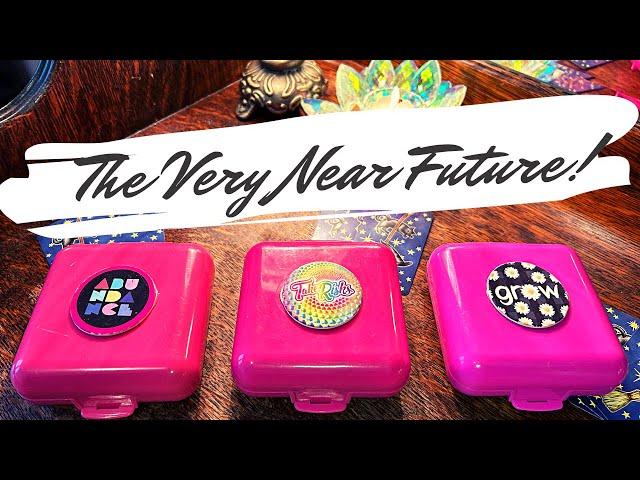 The Very Close Future!  Pick a Card Tarot Reading | Timeless