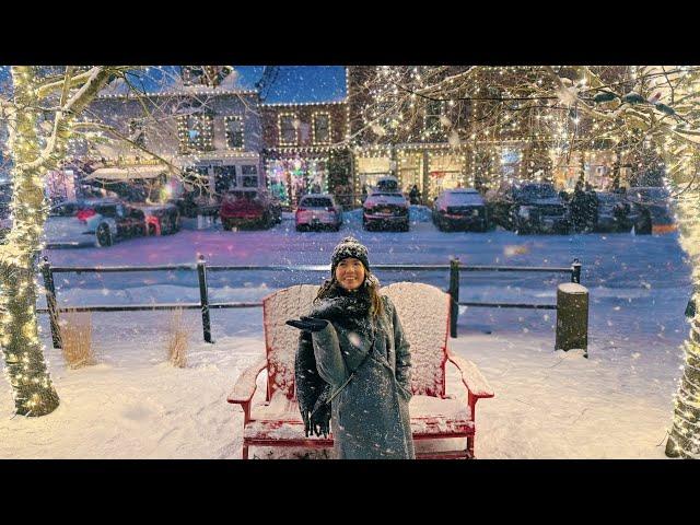 SNOWY Elora Christmas Market, Step Into a Hallmark Movie